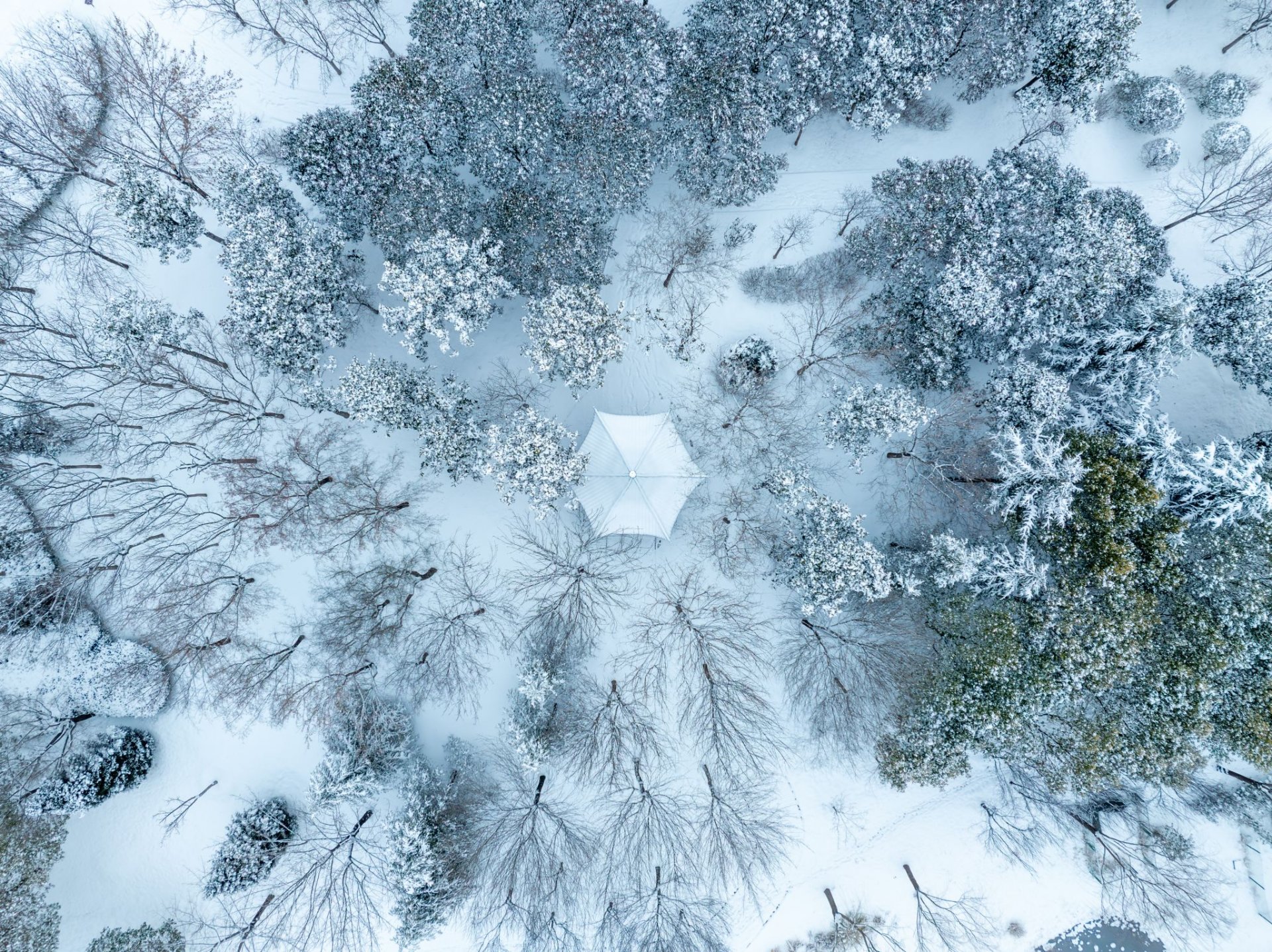 旺旺棋牌登录