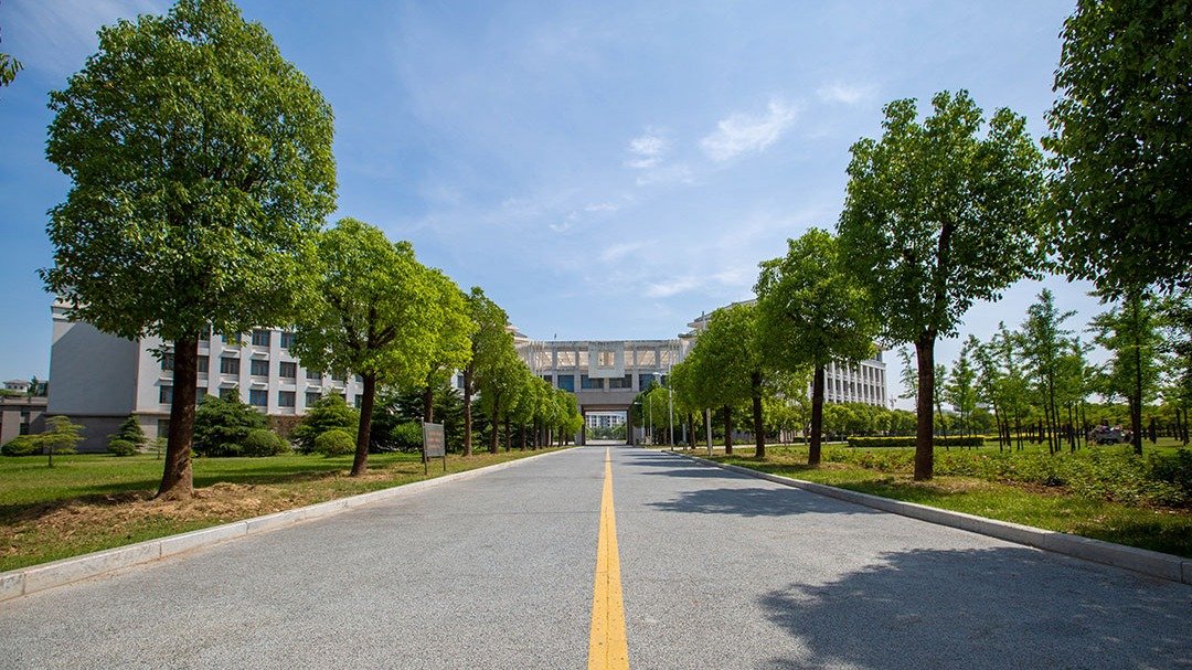master degree prog