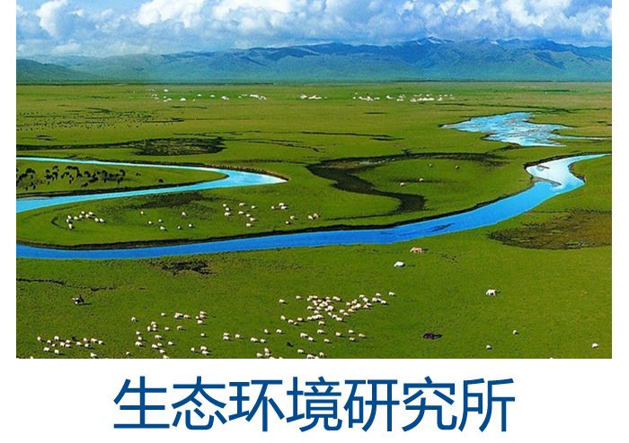 中心协办的“黄河流域生态保护和高质量